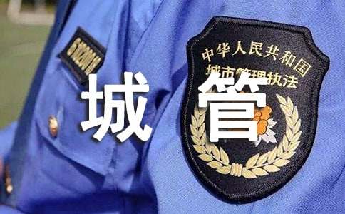 城管工作總結