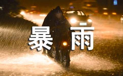 防暴雨防洪防汛應(yīng)急預(yù)案