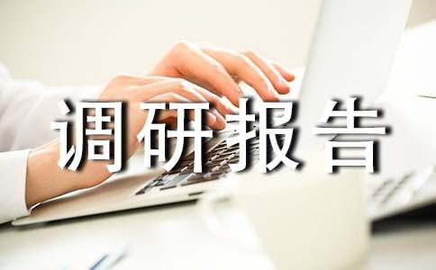 支付系统调研报告