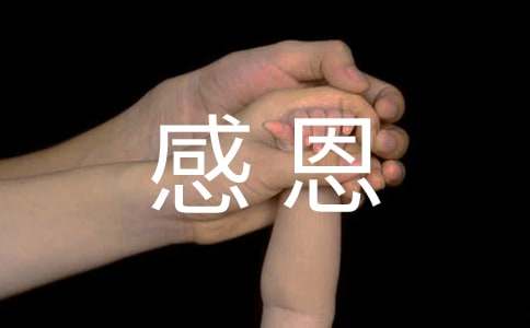 大型感恩活動(dòng)策劃方案