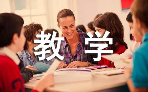 教学经验教学总结