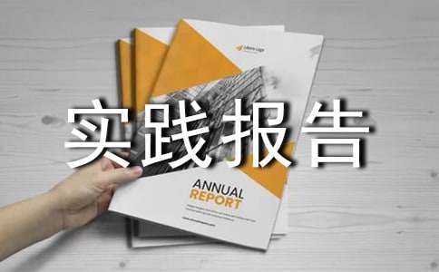 高中生社会实践报告