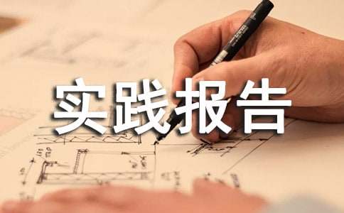 高中生社会实践报告